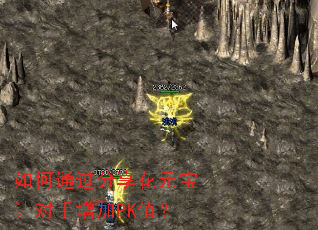 ���ͨ��������Ԫ���ö�������PKֵ��