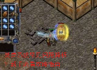 ����ϵͳ����������������ֱؿ�����ָ��