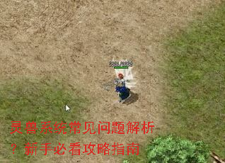 ����ϵͳ����������������ֱؿ�����ָ��