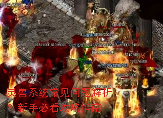 ����ϵͳ����������������ֱؿ�����ָ��