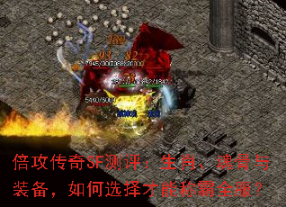 ��������SF��������Ф�������װ�������ѡ����ܳư�ȫ����