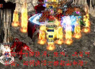 ��������SF��������Ф�������װ�������ѡ����ܳư�ȫ����