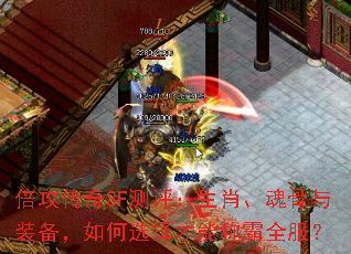 ��������SF��������Ф�������װ�������ѡ����ܳư�ȫ����