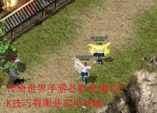 �����������θ�ְҵ��װPK��������Щʵ�ù��ԣ�