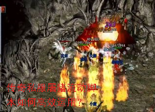 ����˽�����������ű���θ�Ч���ã�