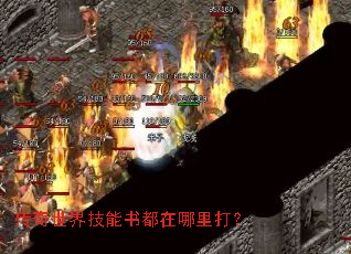 �������缼���鶼�������