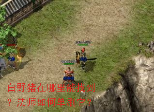 ��Ұ�����������ҵ�����ʦ��ε�ˢ����