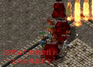 ��Ұ�����������ҵ�����ʦ��ε�ˢ����