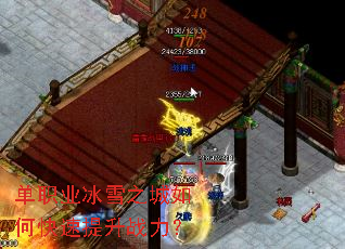 ��ְҵ��ѩ֮����ο�������ս����