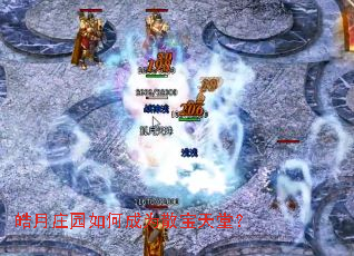 ���ׯ԰��γ�Ϊɢ�����ã�