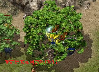 ���������θ�Чˢ�֣�