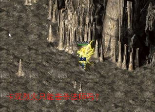 ��˫�һ�ֻ�ܻ�ɱ��ʦ��