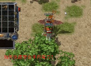 ��ο���ѧ������䵶��