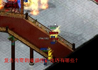 ���Ŵ��������ڿ�������Щ��