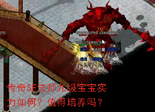 ����SF��ʦ�ż�����ʵ����Σ�ֵ��������