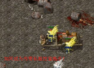 ��γ�Ϊ����˽���ڱ����֣�