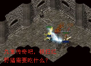 九重传奇吧,横扫红野猪需要吃什么? 九重传奇吧,横扫红野猪需要吃什么?