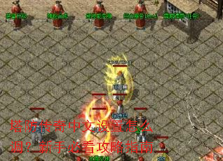 ������������������ô�������ֱؿ�����ָ��