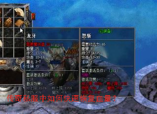 ����˽������ο��ٻָ�Ѫ����