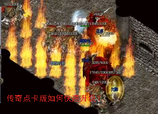 ����㿨����ο���������