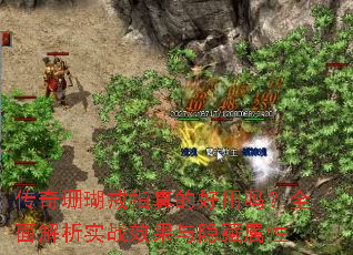 ����ɺ����ָ��ĺ�����ȫ�����ʵսЧ������������