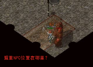 ����NPCλ�������