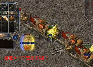 ����NPCλ�������