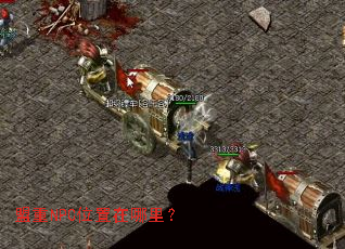 ����NPCλ�������