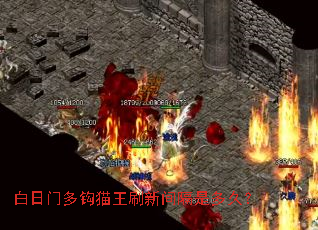 �����Ŷ๳è��ˢ�¼���Ƕ�ã�