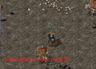 ����ս����Щ������ע�����