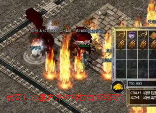 ����1.76���Ŵ����������ȡ��