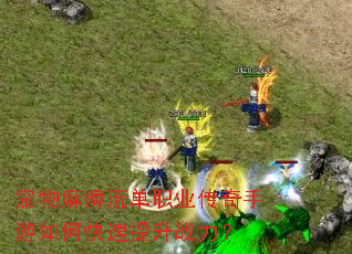 �����������ְҵ����������ο�������ս����