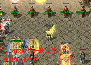 ��ο�����������̽��еĽ�ɫս����