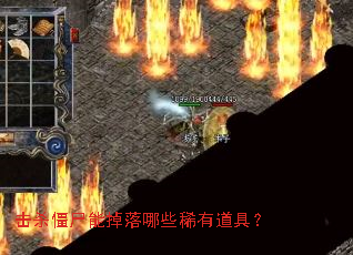 ��ɱ��ʬ�ܵ�����Щϡ�е��ߣ�