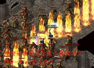 �������ʱ��ʾ�Ҳ����ű��ļ�D--Mirs��ô�죿