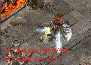 ħ�����װ������Ѫ�����о����к�ǿ�����ã�