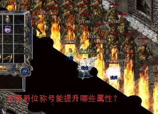 �����λ�ƺ���������Щ���ԣ�