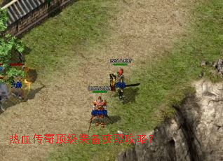 ��Ѫ���涥��װ����ȡ���ԣ�