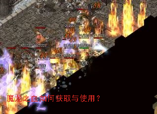 ħ��֮Ѫ��λ�ȡ��ʹ�ã�