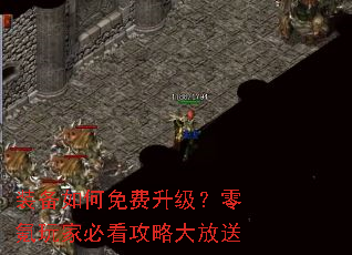 װ�������������������ұؿ����Դ����