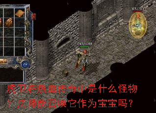 ��������Ѫ��������ʲô�����ʦ���ٻ�����Ϊ������