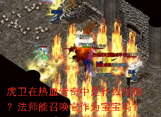 ��������Ѫ��������ʲô�����ʦ���ٻ�����Ϊ������