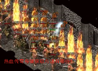 ��Ѫ��������ȡ��������Щ��