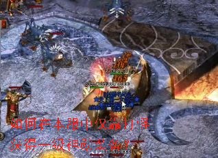 ����ڱ����н�����ֻ��һ����ѫװ����