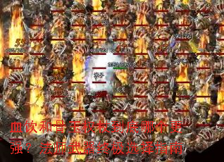 Ѫ���͹���Ȩ�ȵ����ĸ���ǿ����ʦ�����ռ�ѡ��ָ��