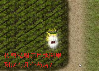 ����˽�����µ�ͼ�ﵽ���м���ҩ�ꣿ