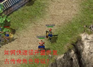 ��ο�������ʢ�����Ŵ����ɫ�ȼ���