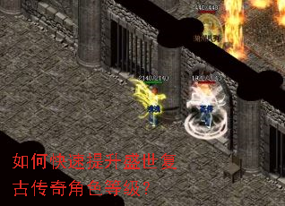 ��ο�������ʢ�����Ŵ����ɫ�ȼ���