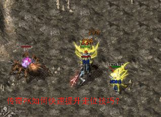 ����PK��ο���������λ���ɣ�