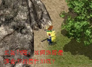 װ����ħ�����ѡ�����ʺ�������Լӳɣ�